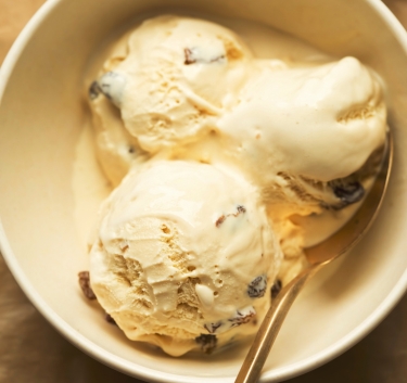 Mincemeat Ice Cream Magimix.